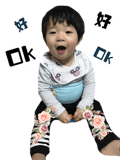 44453998