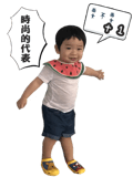 44454005