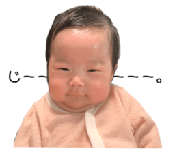444591139