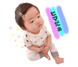 444594223