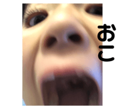444597728