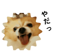 444598197