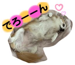 444604056