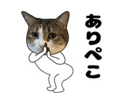 444624595