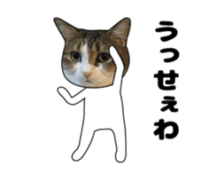 444624597