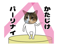 444624599