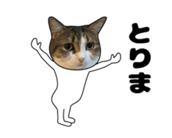 444624600
