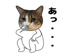 444624601