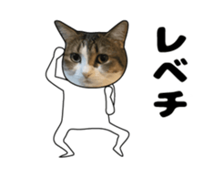 444624603
