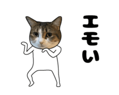 444624604