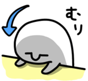 444655948