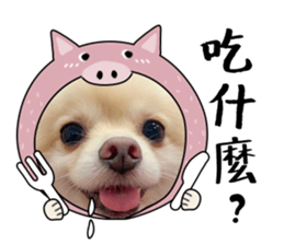 444656374