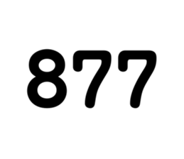 444668041