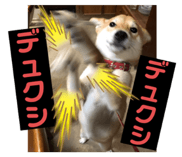 444680180