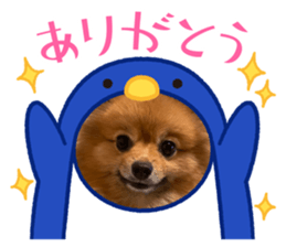 444684985