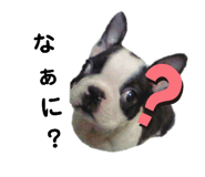 444685360