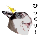 444685372