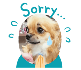 444694024