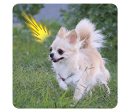 444776961