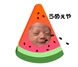 444939666