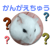 444943841
