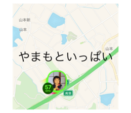 445029444