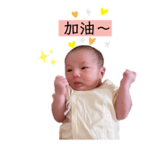 445092955