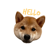 445094910