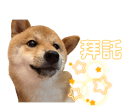 445094913