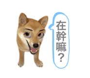 445094917