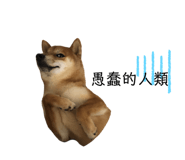 445094922
