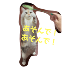 445099200
