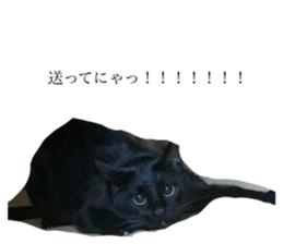 445117383