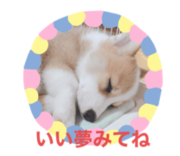 445188431