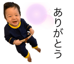 445202631