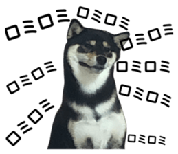 445212525