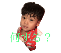 445220022