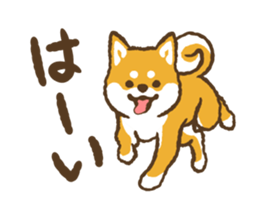 445222310