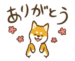 445222314