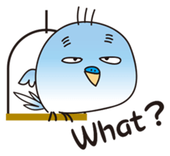 4452427