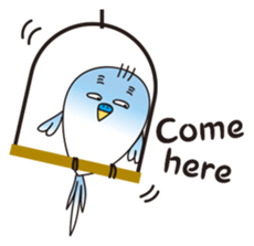 4452447