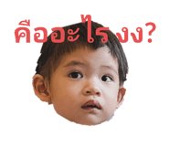 445253695