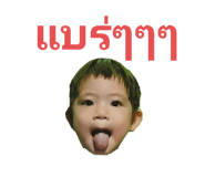 445253700