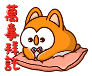 445256611