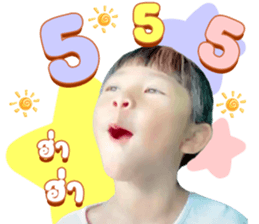 445258017