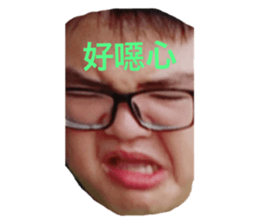 445296209