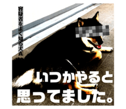 445333621