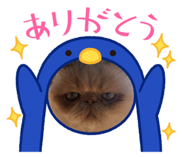 445336624