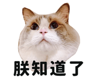 445355582