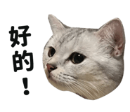 445355583